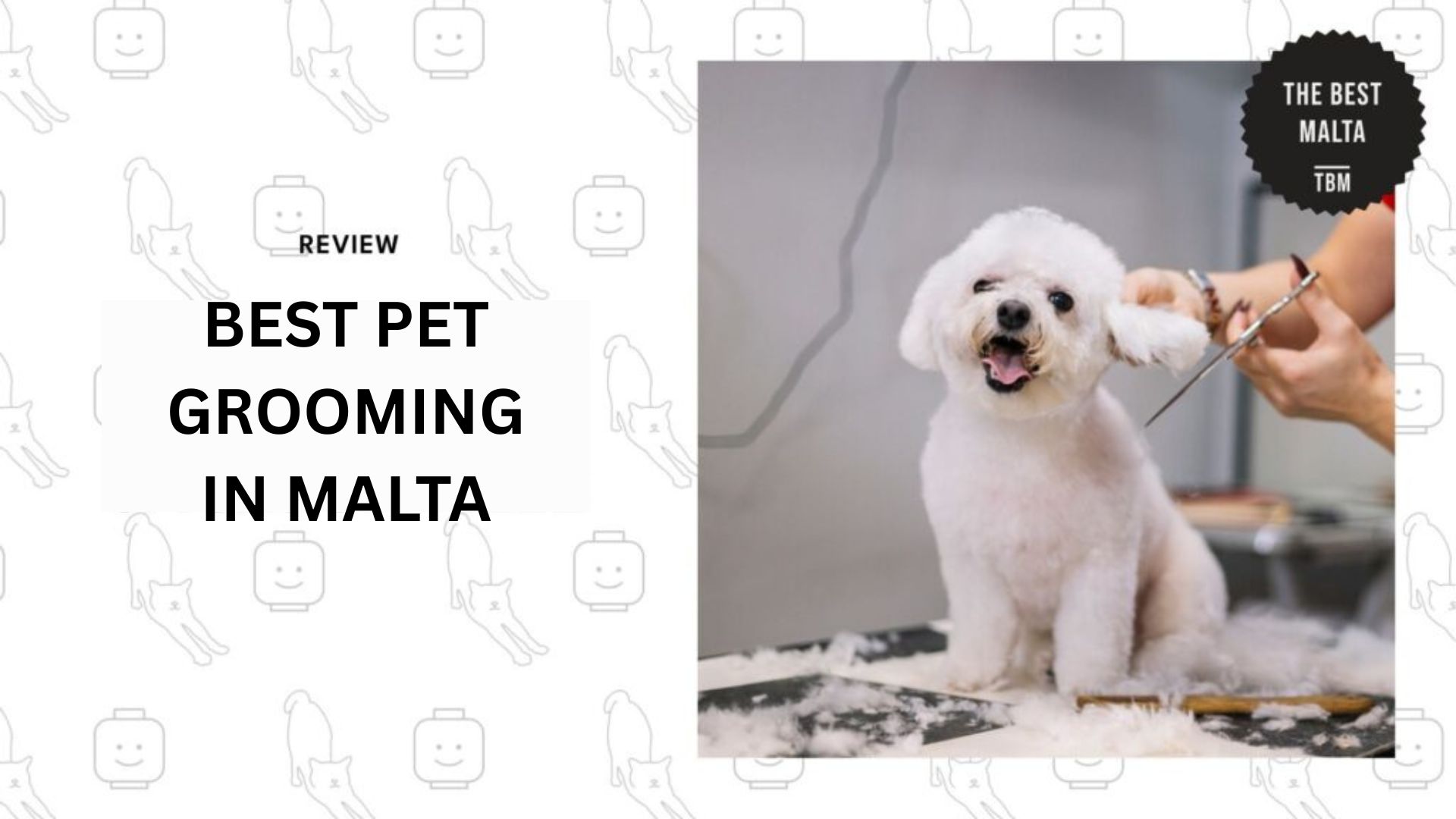 pet-grooming-malta-banner