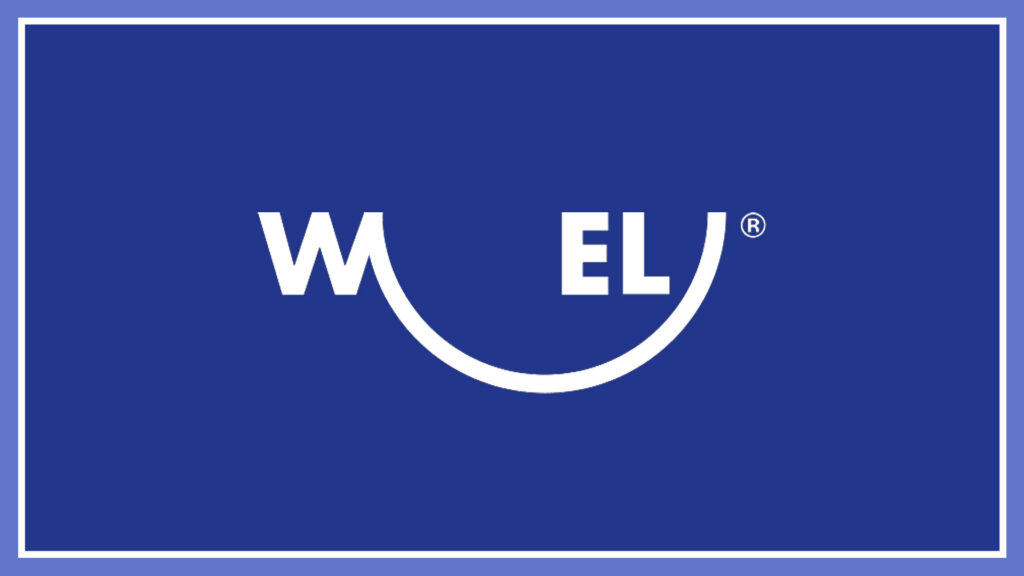 world-express-logistics-ltd