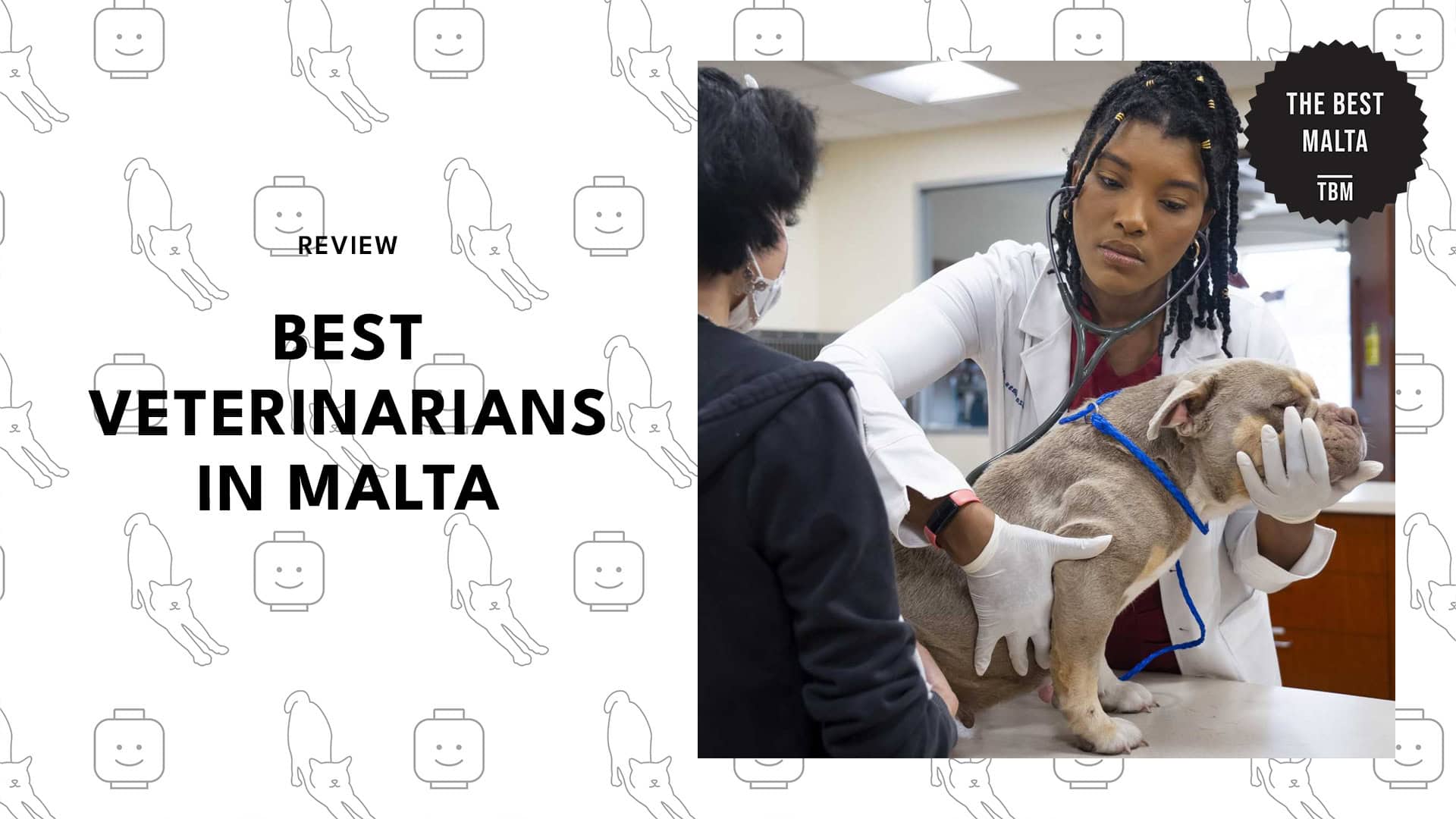 veterinarians-in-malta