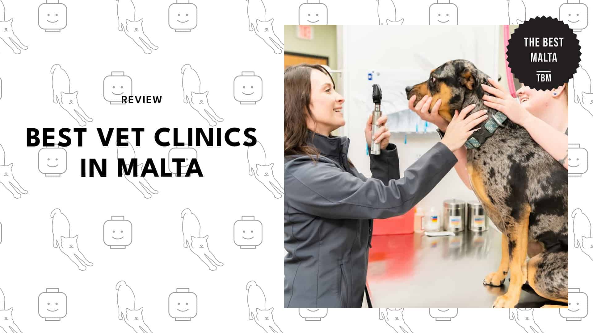 vet-clinics-malta
