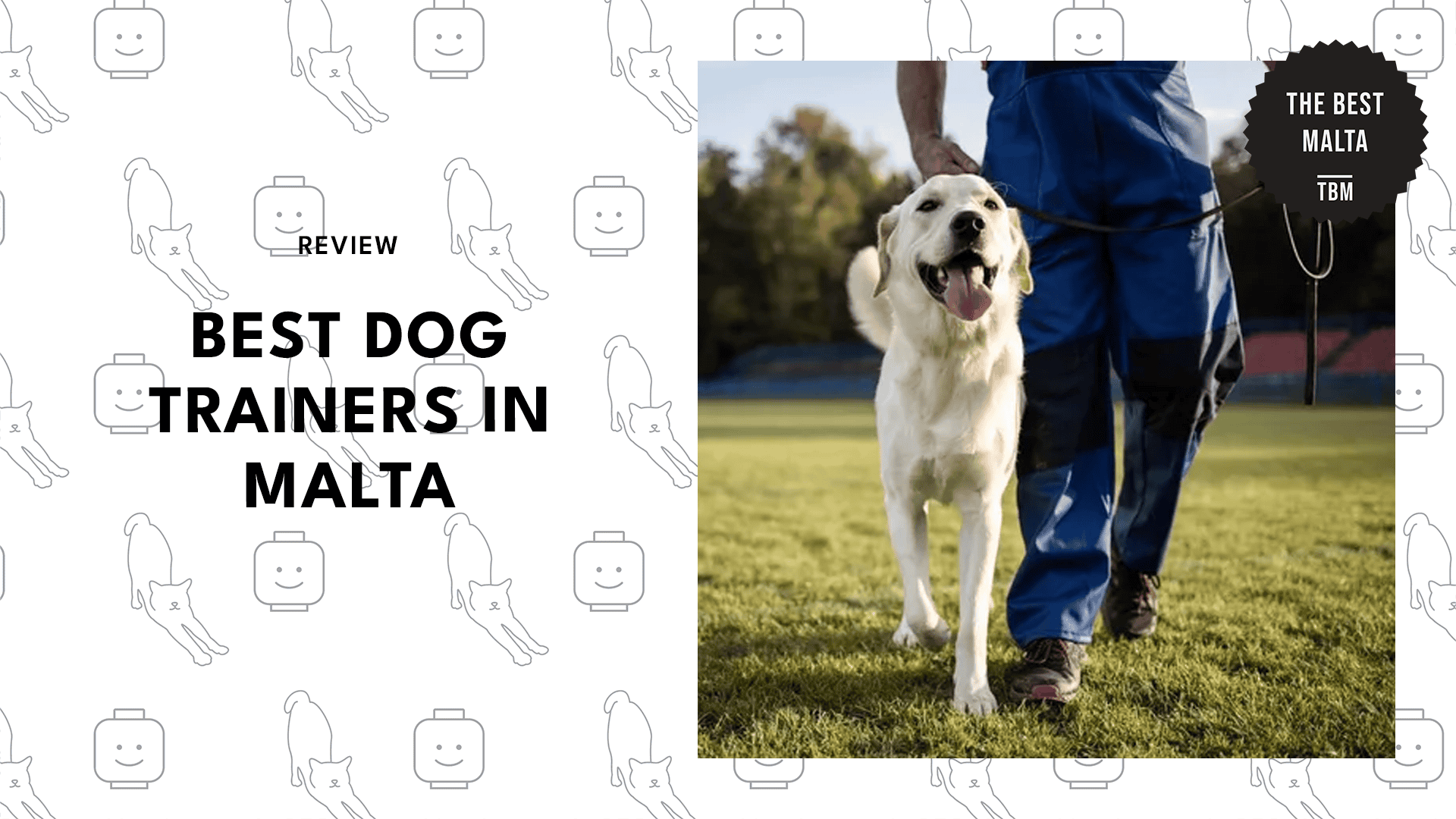 dog-trainers-in-malta